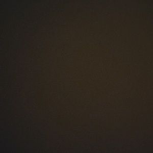 Meet your Posher, Alizee